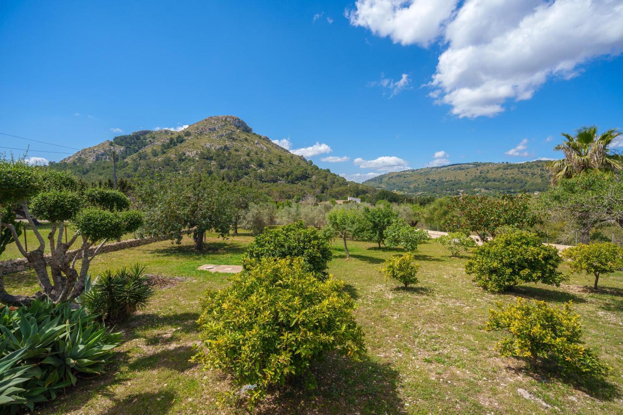Cycling Apartment Alcúdia